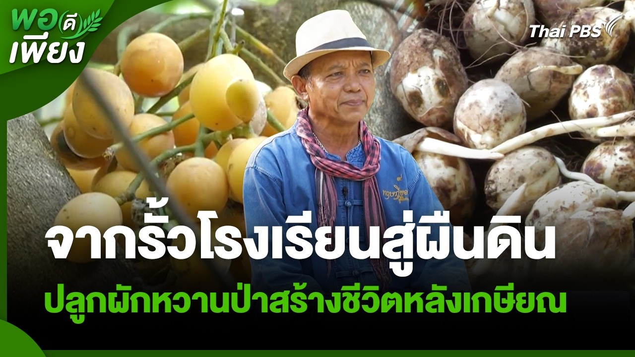 จากรั้วโรงเรียนสู่ผืนดิน ปลูกผักหวานป่าสร้างชีวิตหลังเกษียณ | พอดีพอเพียง | วันใหม่วาไรตี้