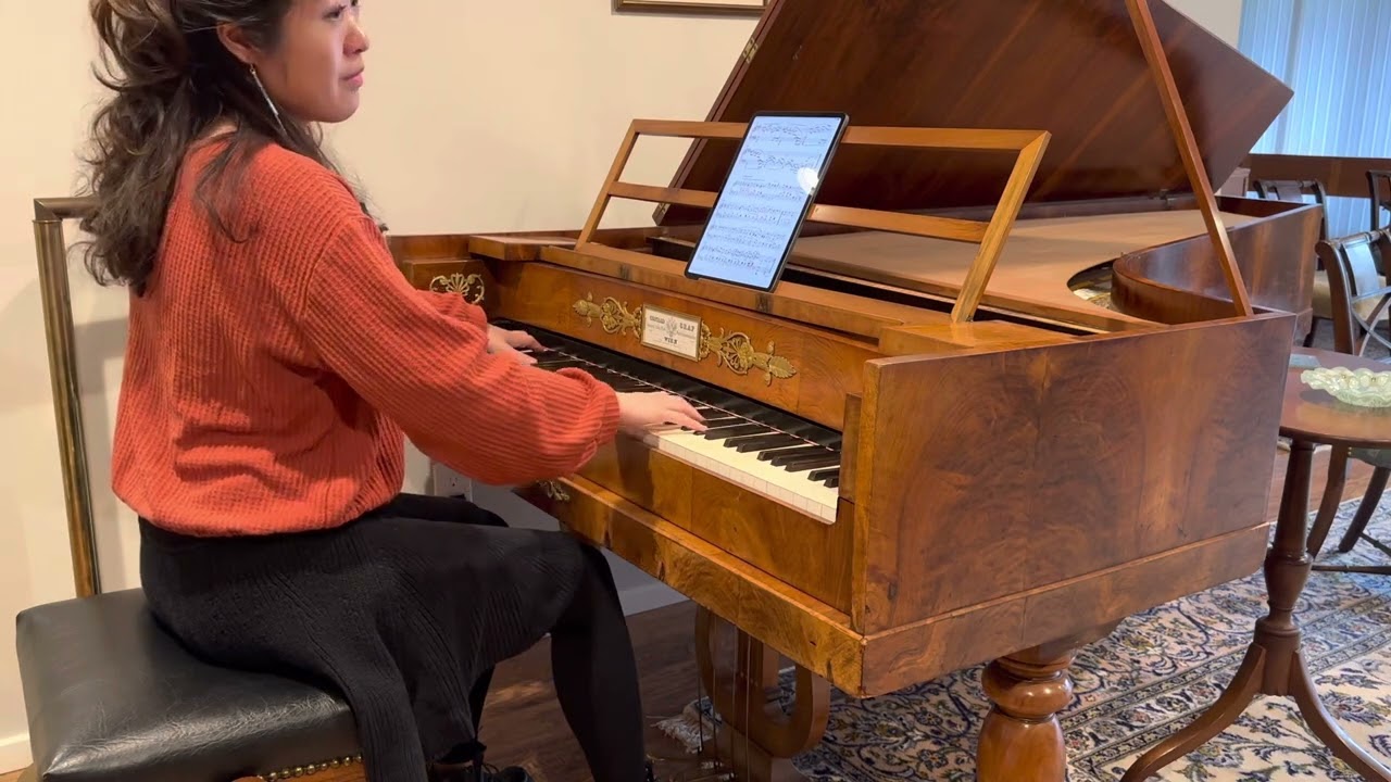 Beethoven Moonlight Sonata on a Conrad Graf Piano - hear this piece like you never have before!