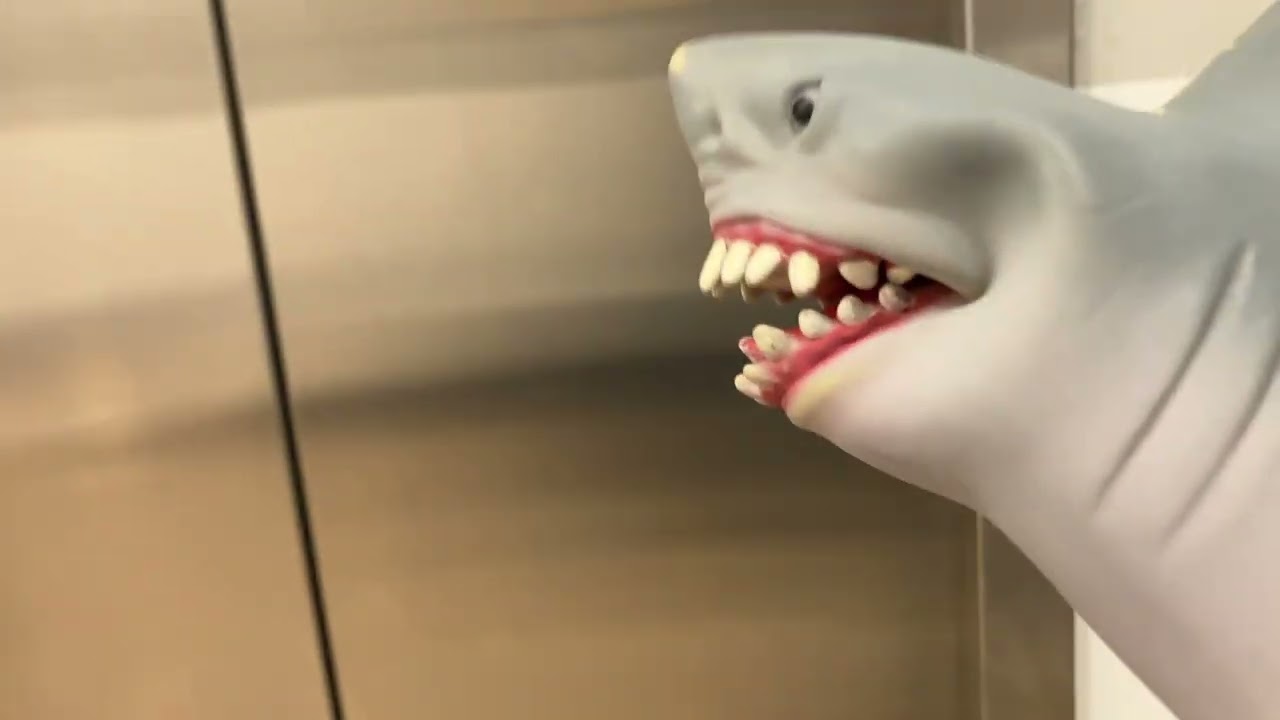 Shark puppet goes on an elevator part 135