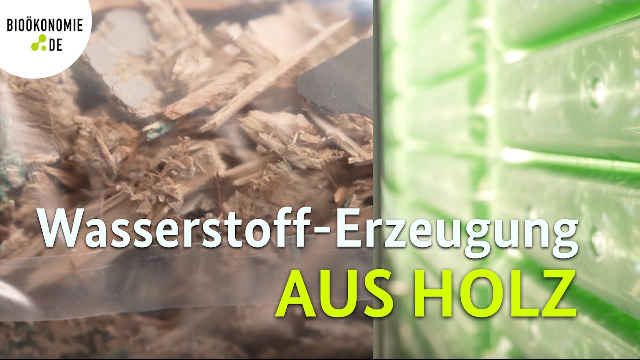 Folge 36 – Zoom – Biointelligente Wasserstoff-Erzeugung aus Holz