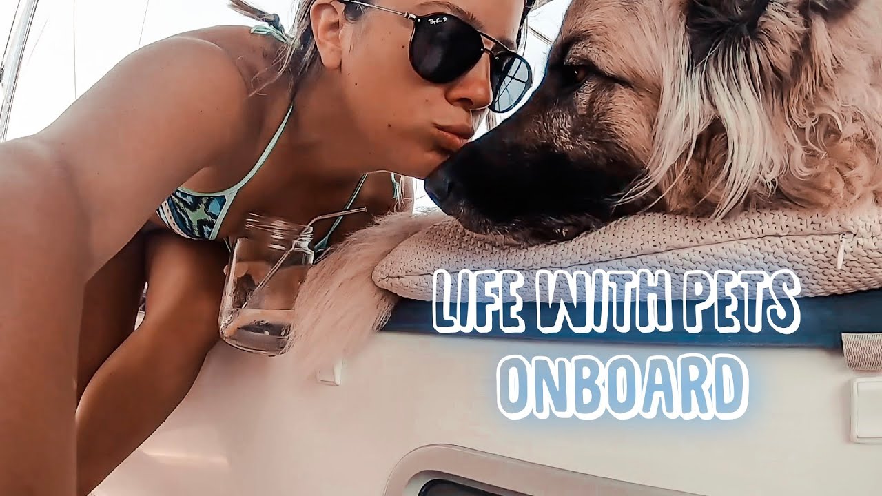 Boat Life with Pets | Sailing Turkey | Sailing Sunday Ep. 67