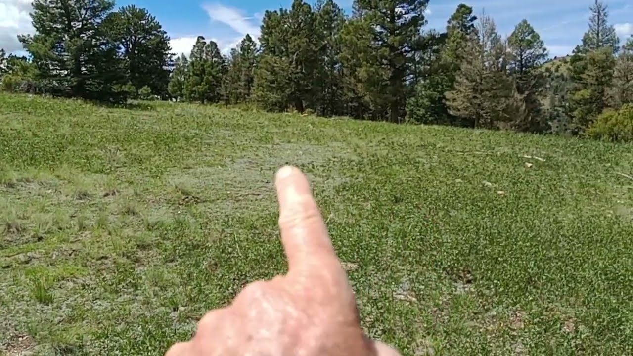 Quick Visual Tips to Identify Native American Camp Sites