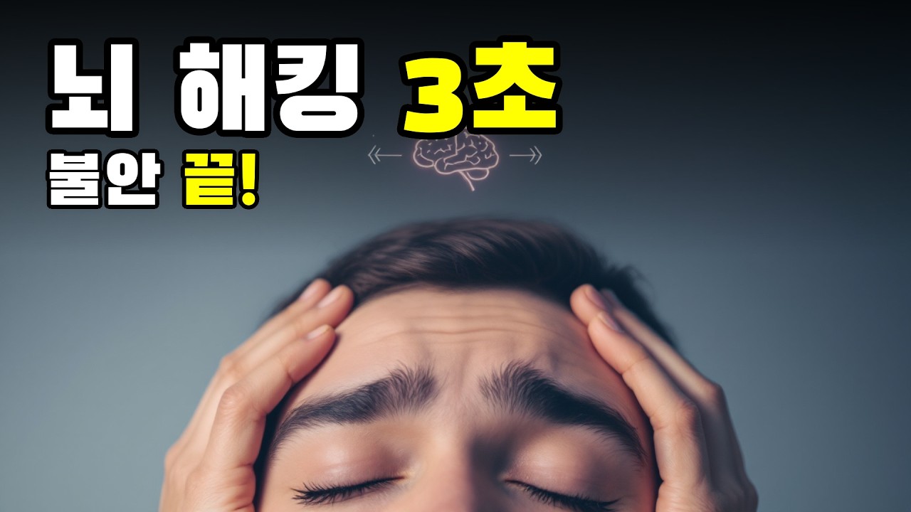 하버드 편도체 연구 30년이 밝힌 예민함의 진짜 이유