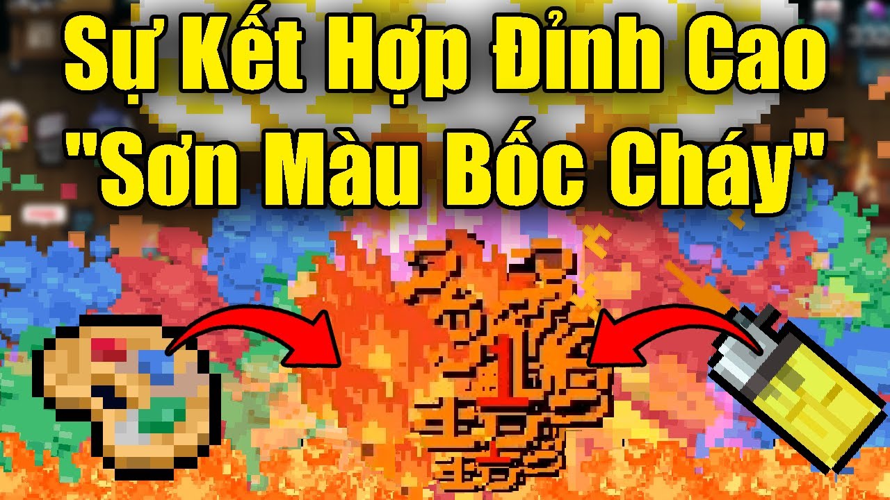Sự Kết Hợp Đỉnh Cao 