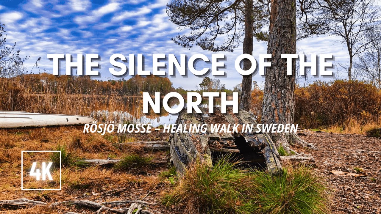 The Silence of the North - Rösjö Mosse Sweden 4K ASMR Healing Walk