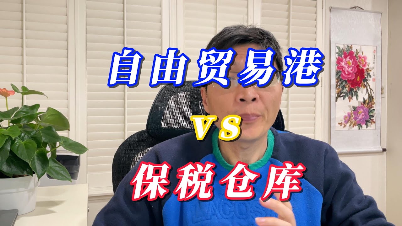 企业必看！自由贸易港和保税仓库，哪个更适合你？