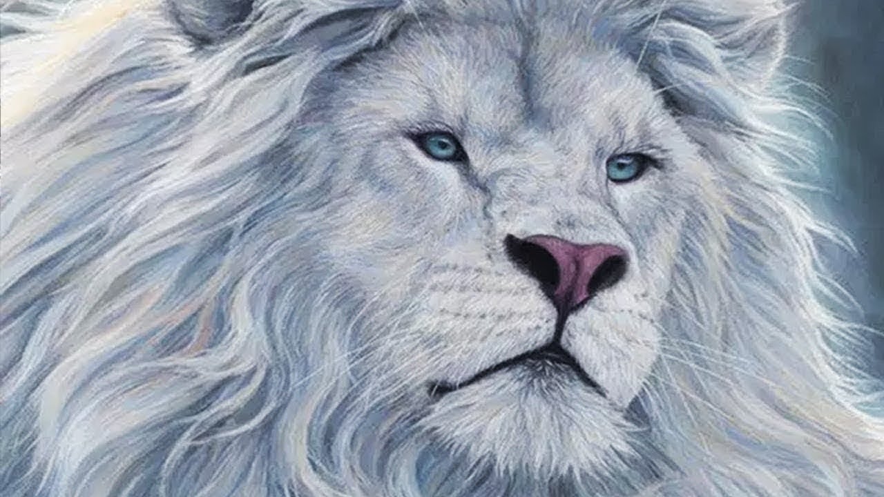 8 حيوانات هم الأغلى ثمنا في العالم .. رقم 1 تم شراءه مقابل 70 مليون دولار (لا يصدق)