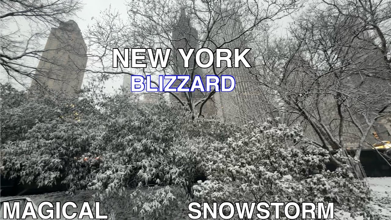 New York 2026 Blizzard Winter Snowstorm in Central Park. NYC Manhattan Magical Heavy Snowfall 