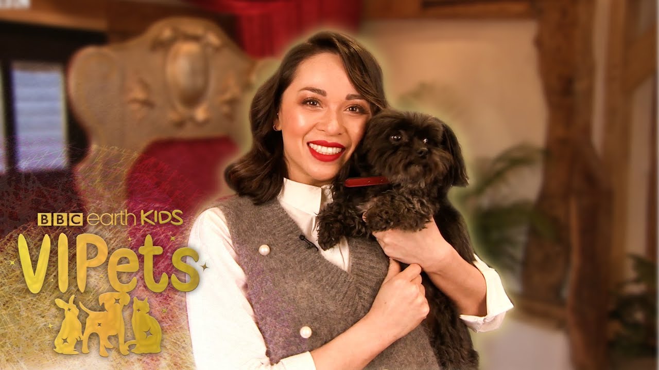 Katya Jones' BFF Crumble can PERFORM TRICKS! | VIPets | BBC Earth Kids