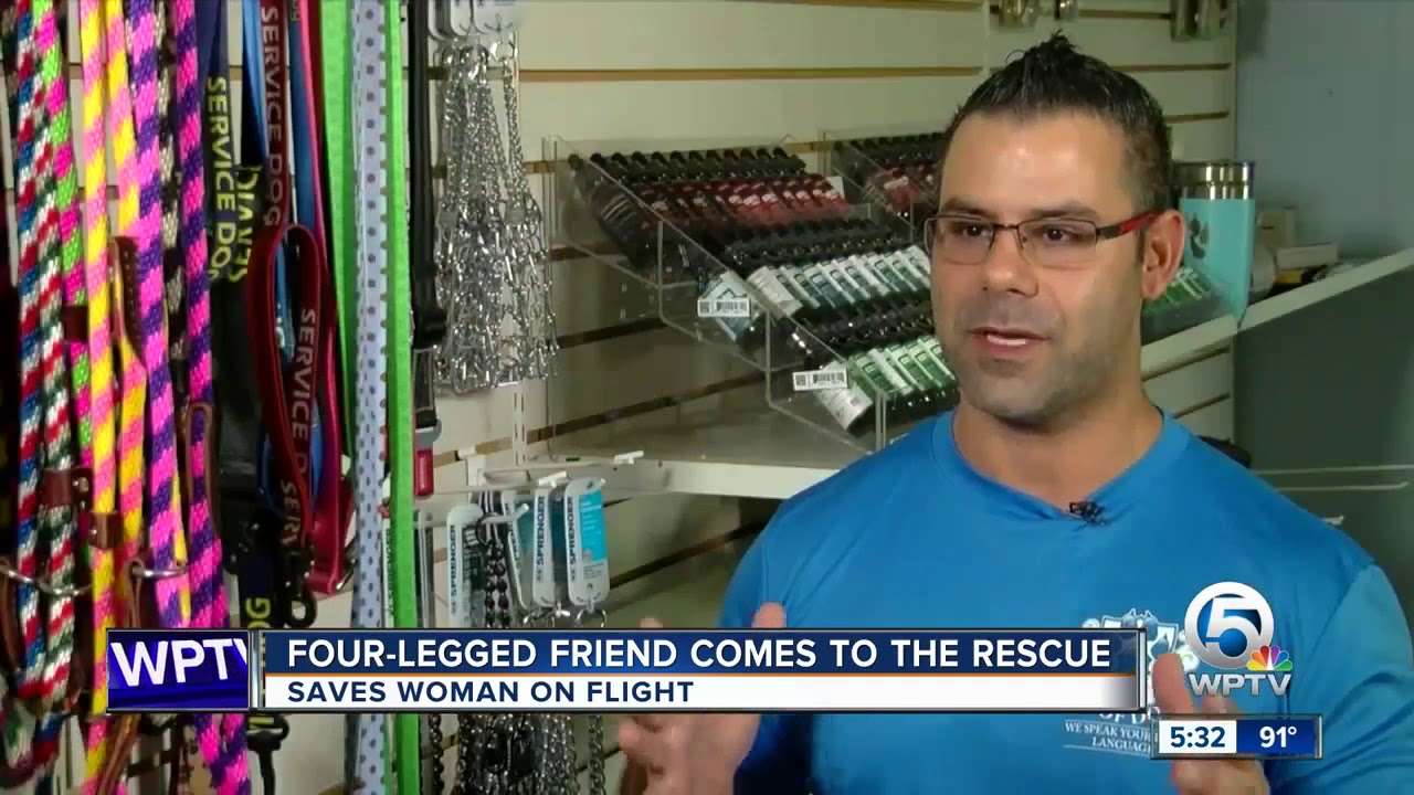 Woman credits medical service dog with saving life
