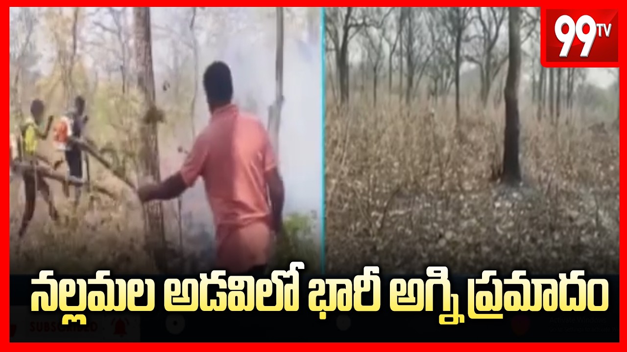 Massive Fire MIshap in Nagarkurnool Forest Area : నల్లమల అడవిలో భారీ అగ్ని ప్రమాదం