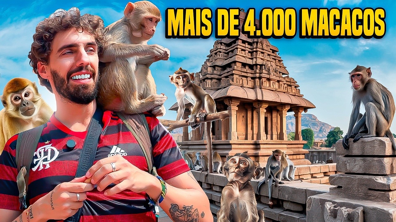 TEMPLO DOS MACACOS SAGRADOS NA ÍNDIA