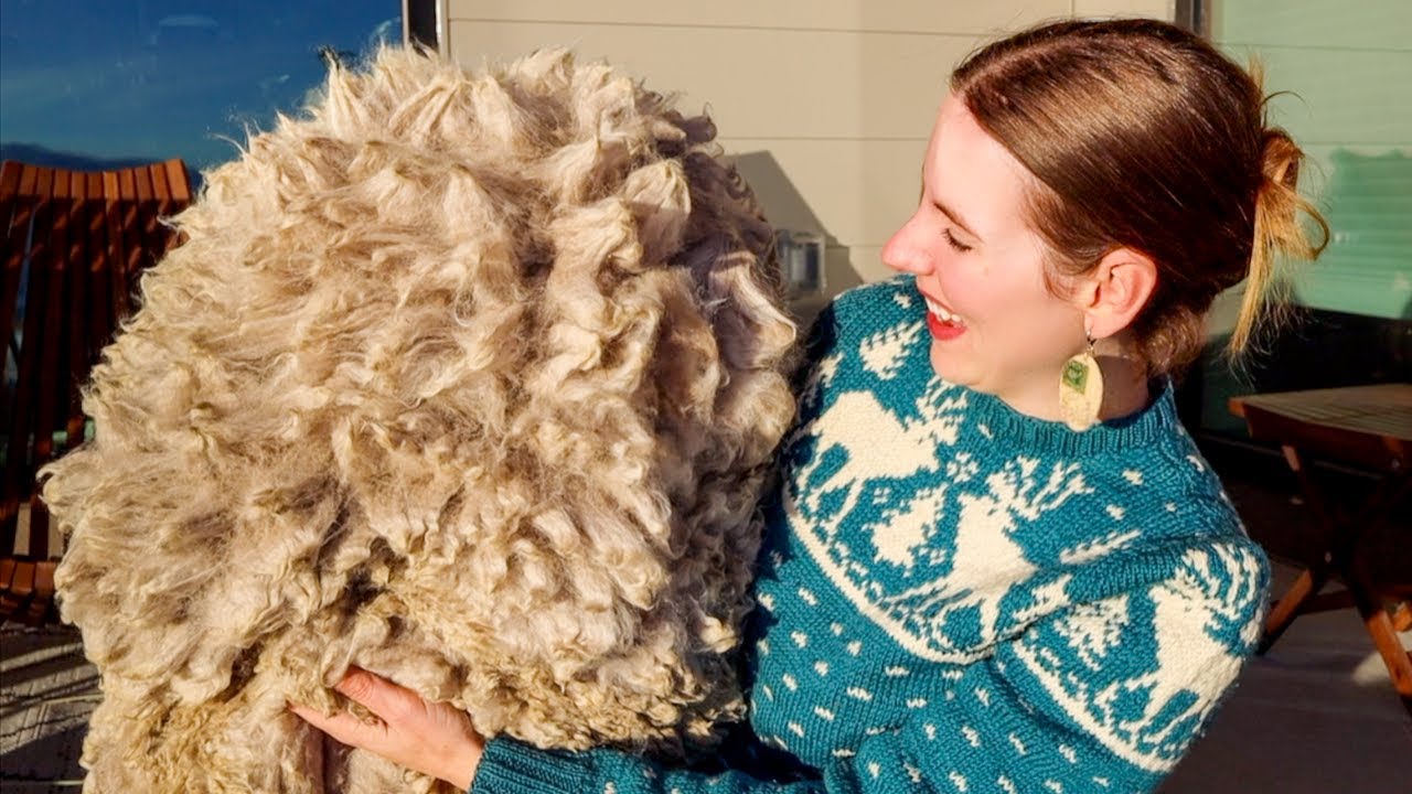 From Sheep to Luxury Yarn: Diving into Fleeces from Around the World!