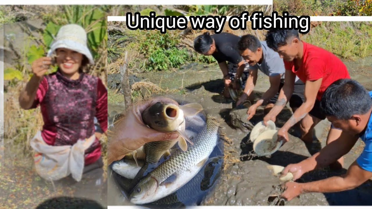 outing with families/catches fish and frogs