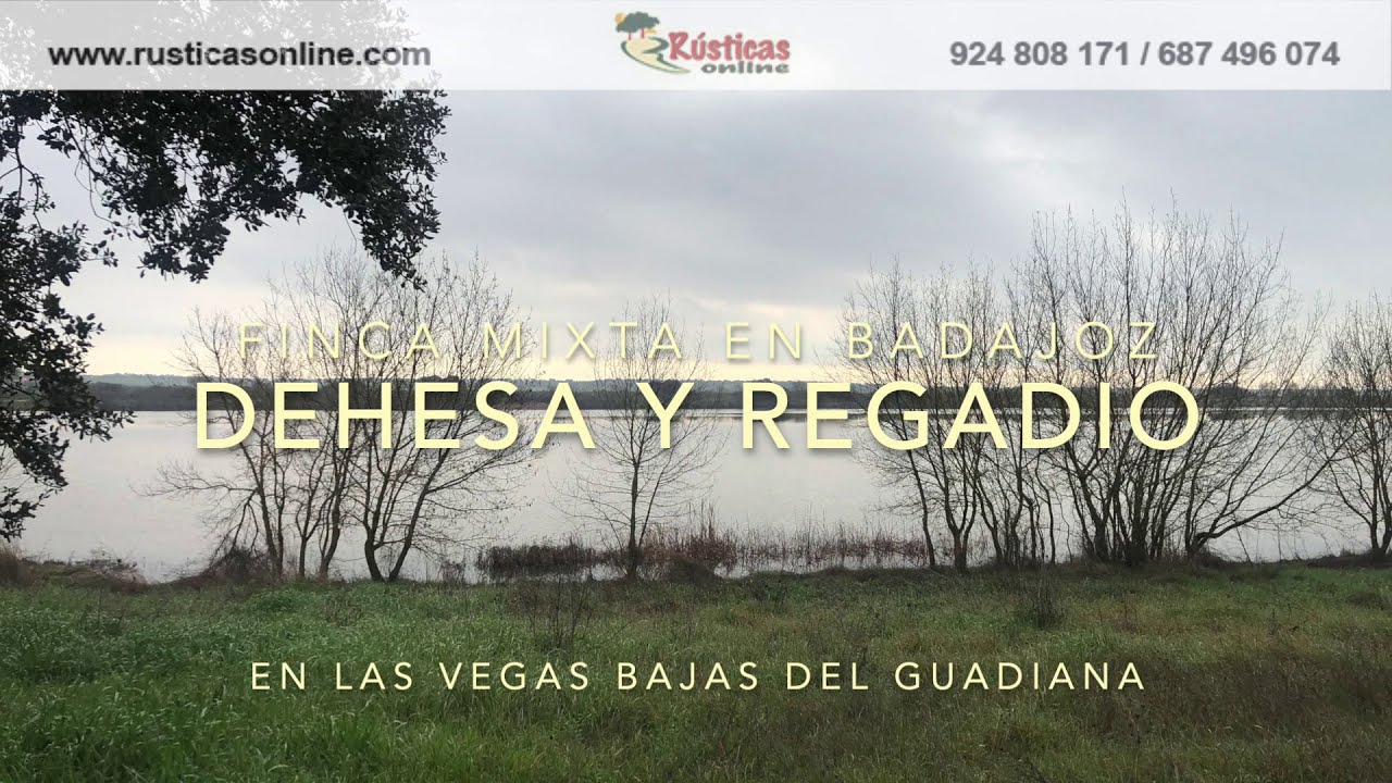 Finca rustica en Badajoz. Dehesa y regadio.