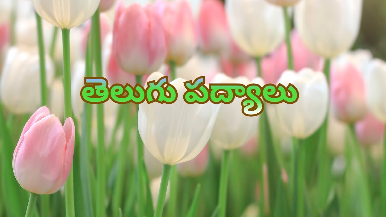 తెలుగు పద్యాలు | Telugu Padyalu for Kids | Telugu Rhymes & Poems