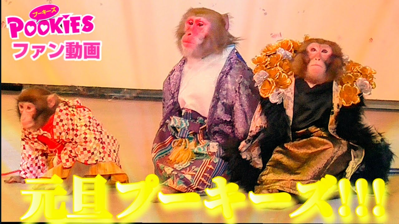 【プーキーズファン動画】元旦プーキーズ!!!