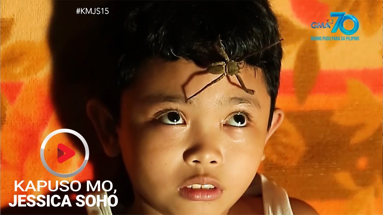 Kapuso Mo, Jessica Soho: Bata, pinapagapang sa kanyang mukha ang mga alaga niyang gagamba!