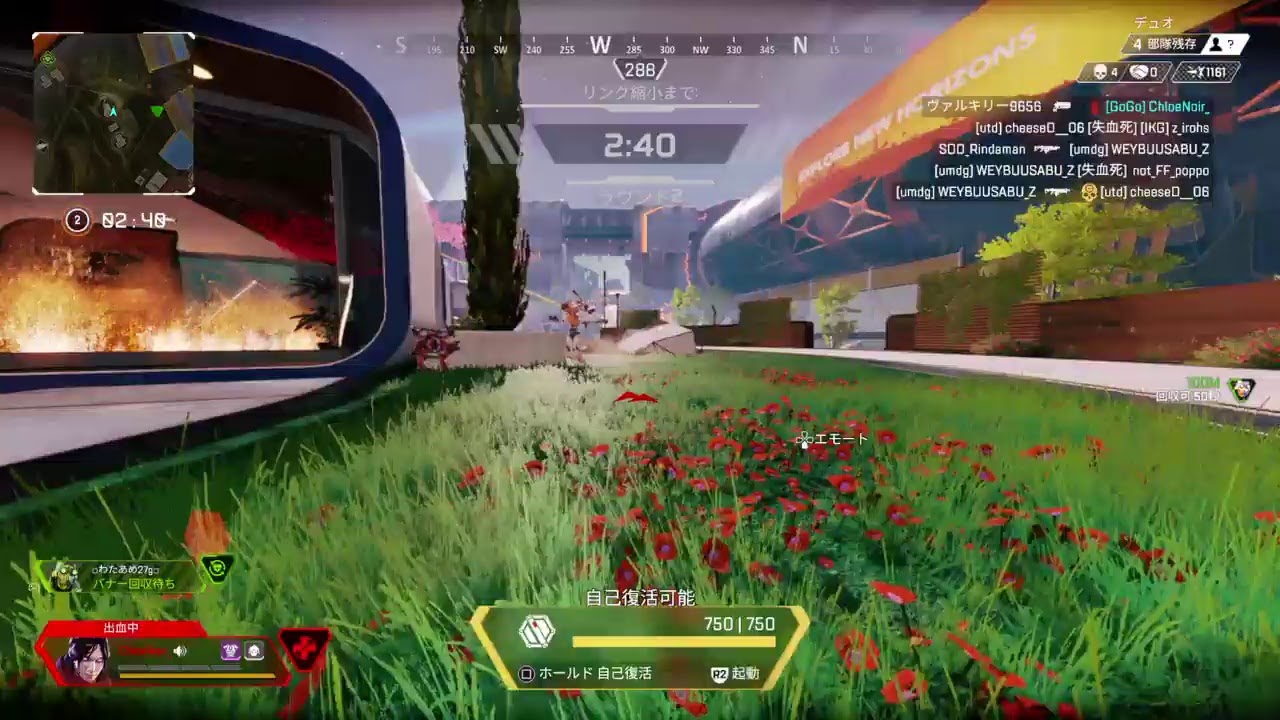 APEX