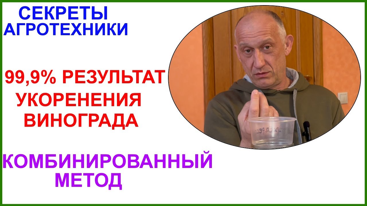Комбинированный метод укоренения черенков винограда.  99,9% результат.
