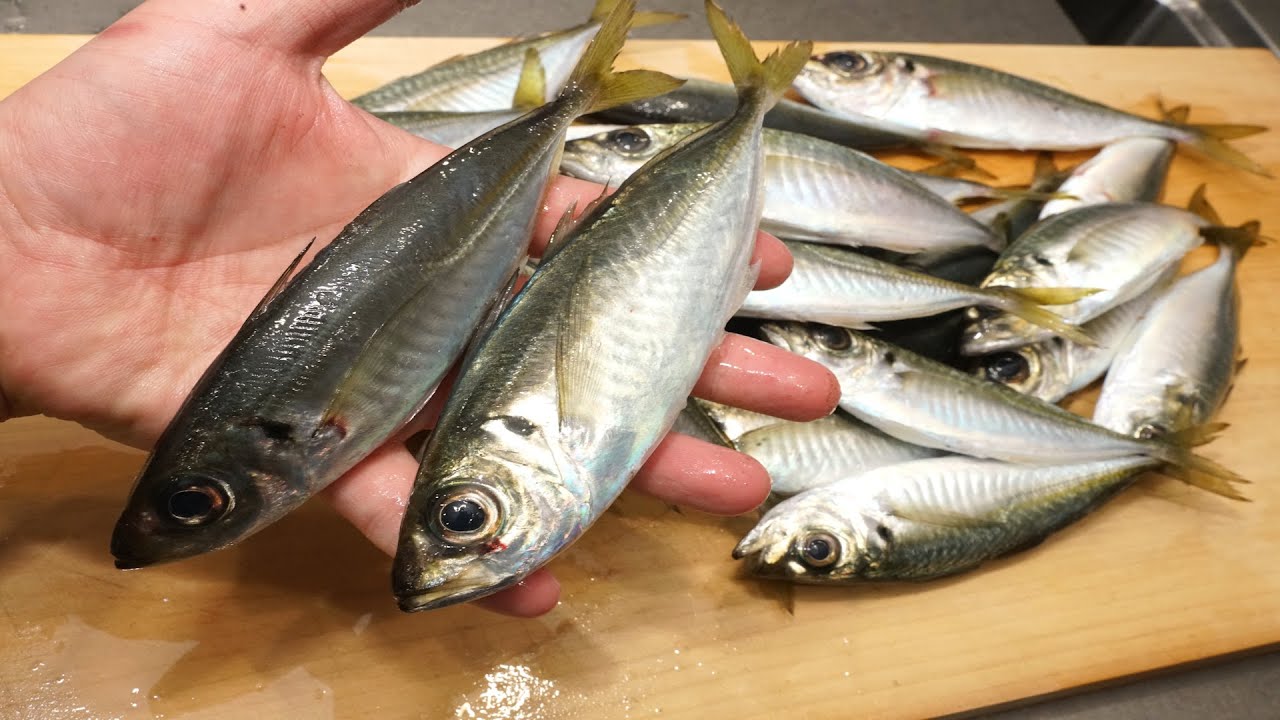 小アジの腹開きのさばき方と「味醂干し」（みりん干し）の作り方
