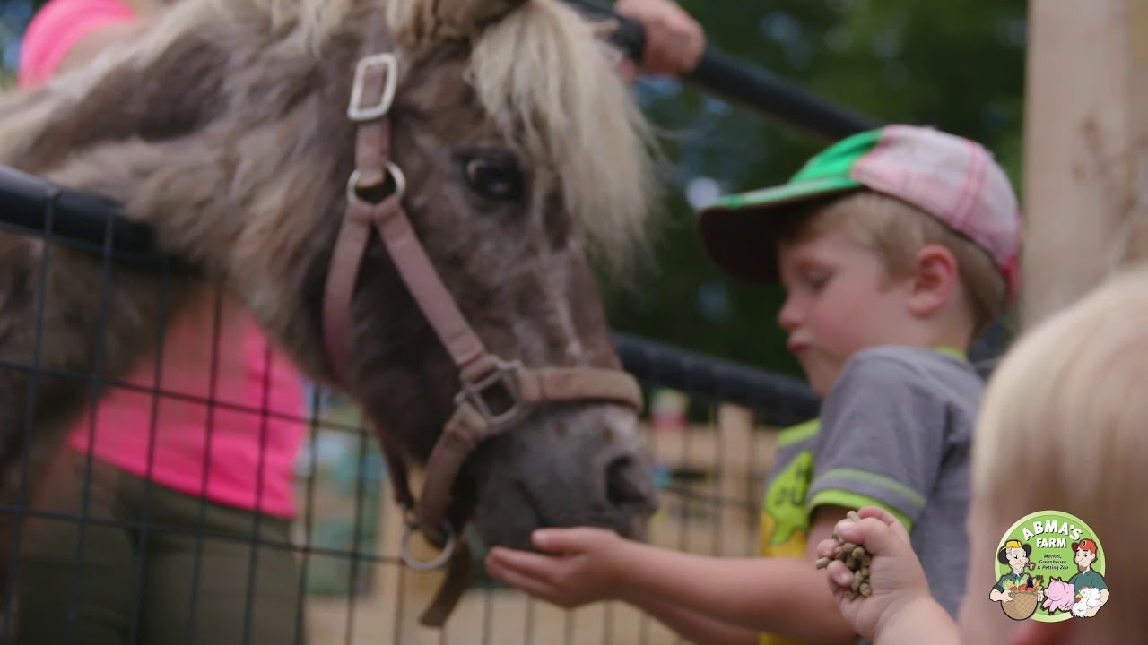 Barnyard Petting Zoo