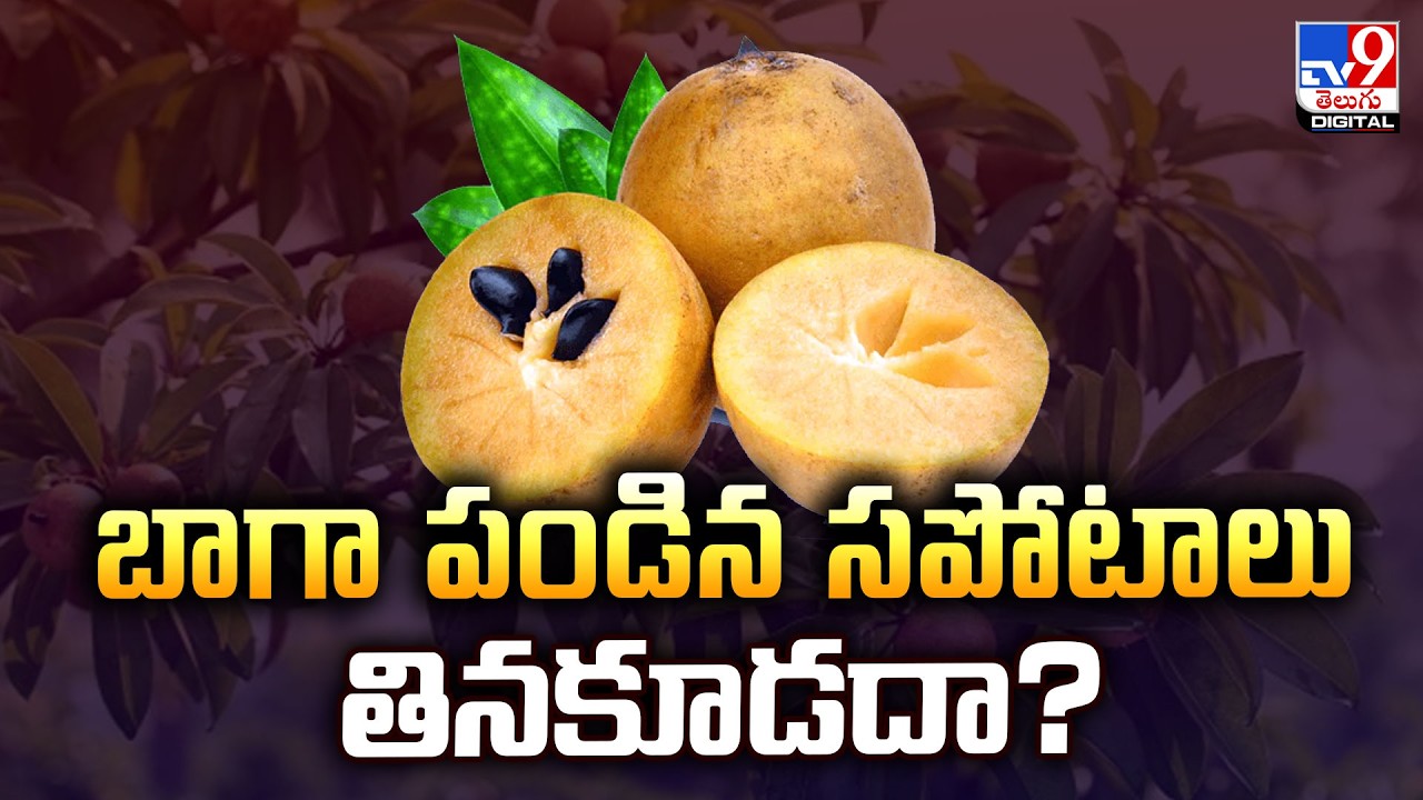బాగా పండిన సపోటాలు తినకూడదా? | Sapota  - TV9