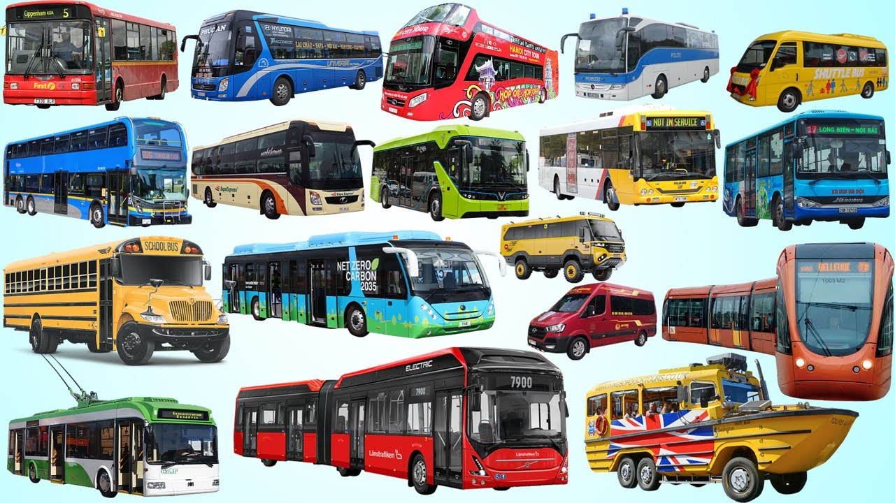 School Bus, City Bus, Coach, Police Bus | Bus name collection - Learning Vehicle Types of Bus