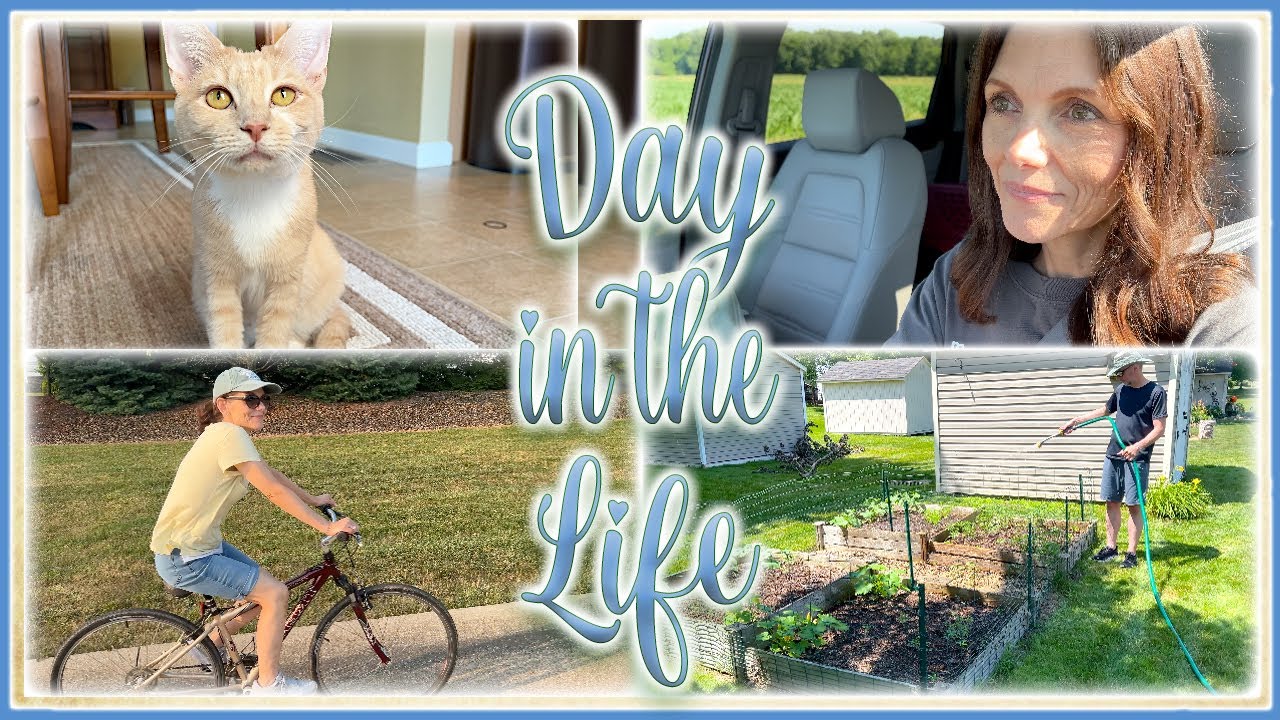 A Summer Day in the Life
