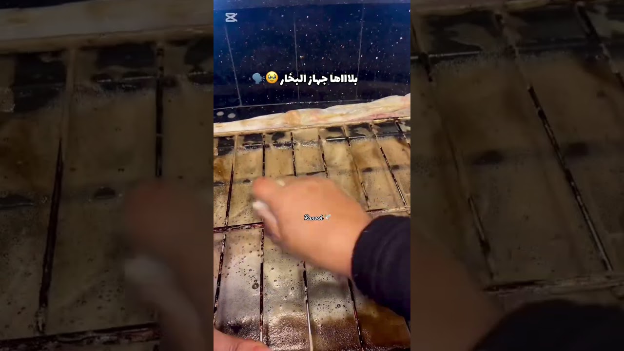 بلاها جهاز تنظيف البخار 