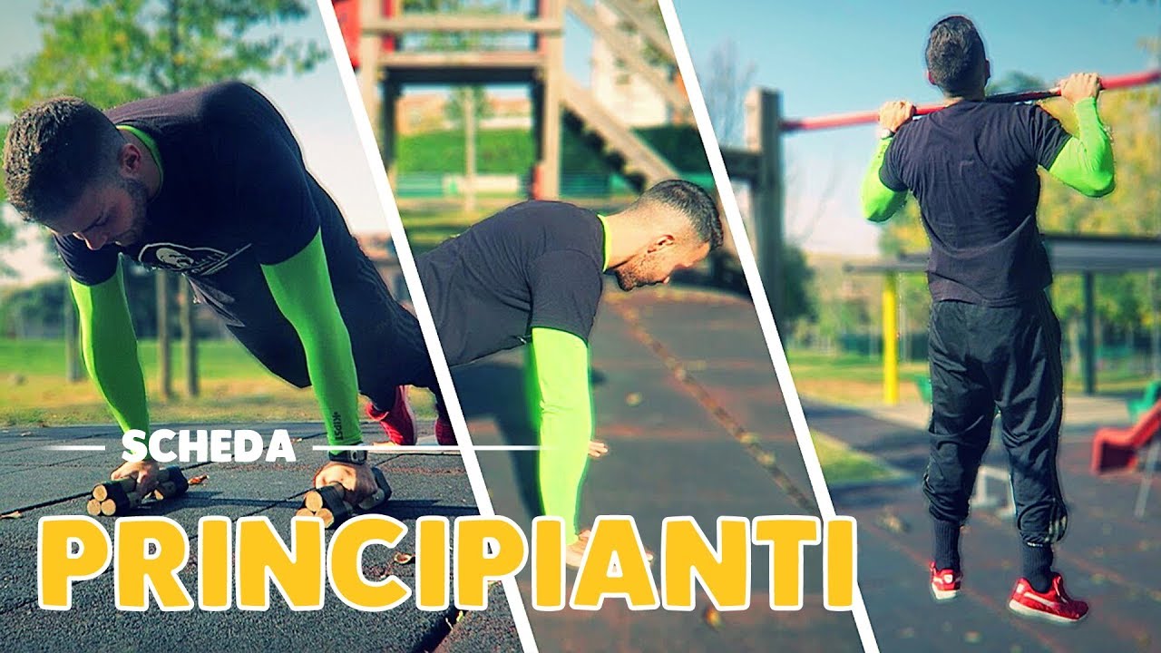 SCHEDA CALISTHENICS PER PRINCIPIANTI | ESERCIZI BASE | diario calisthenico 2 ep.13