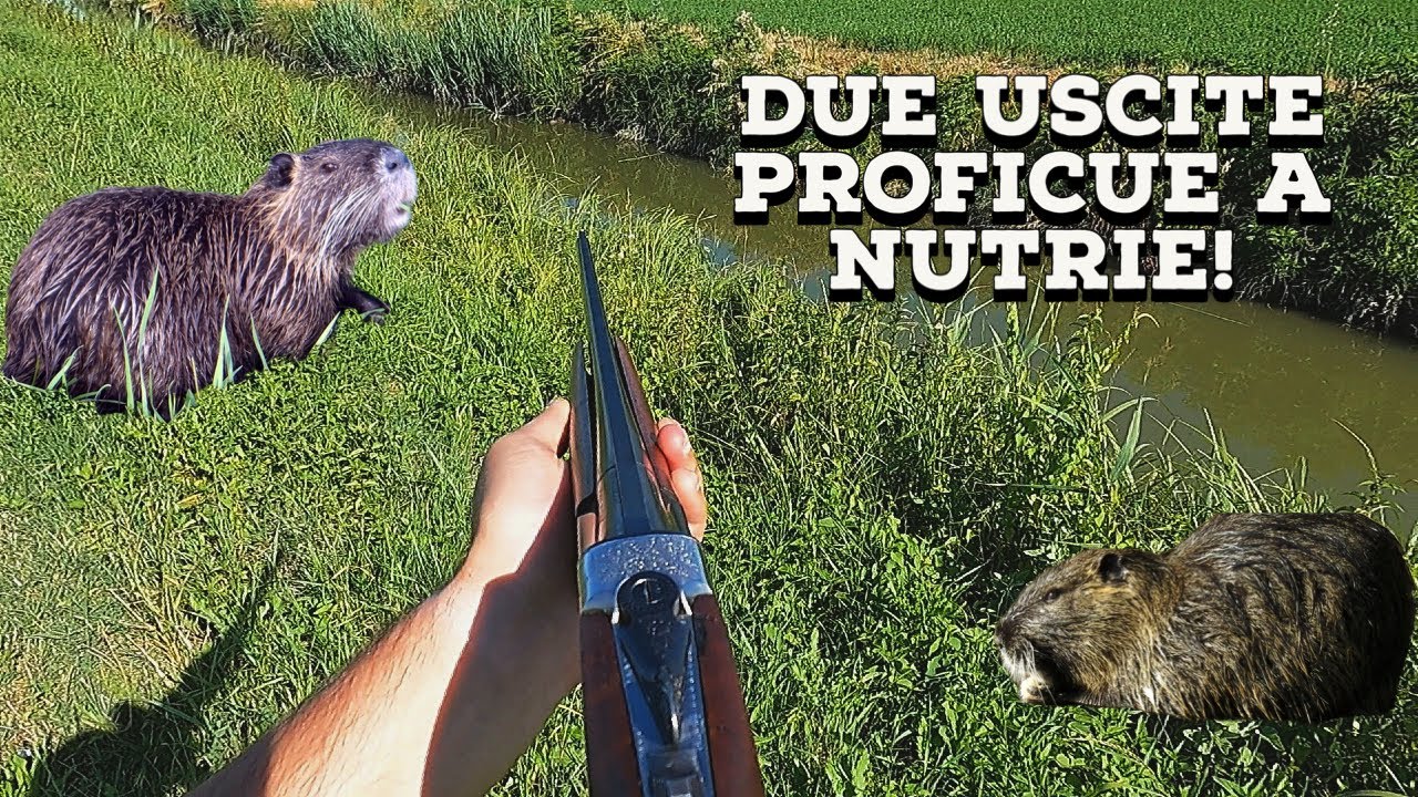 Piani di controllo - Un paio di uscite a nutrie proficue!