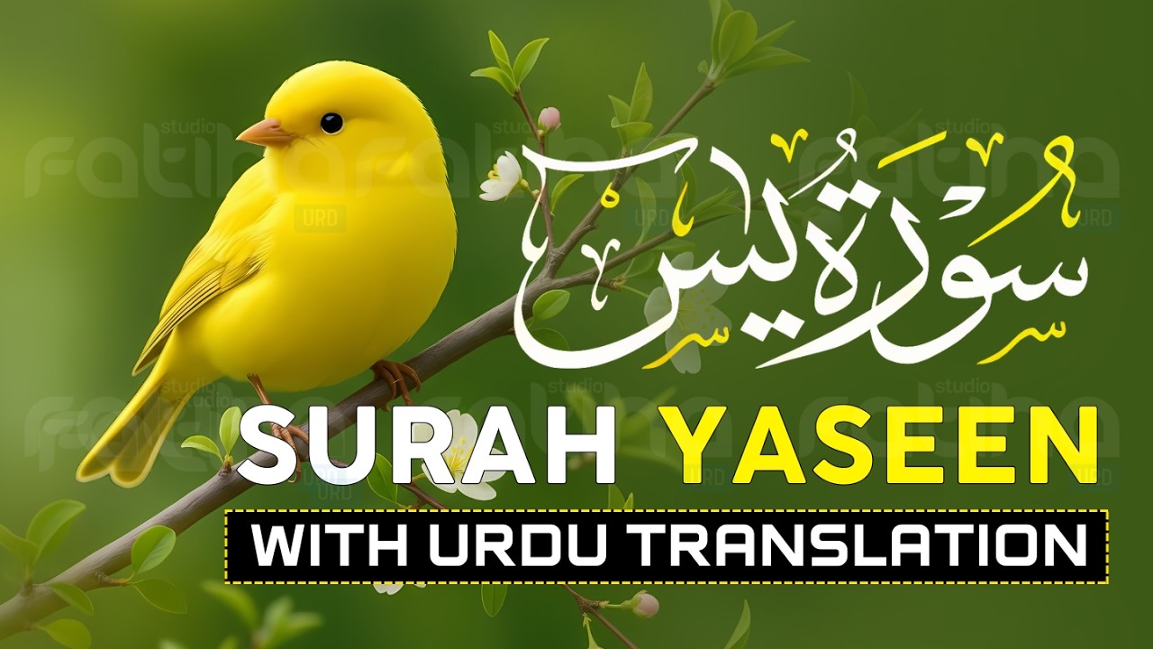 Surah Yaseen (Yasin) with Urdu Translation | Quran Tilawat Beautiful Voice | Hindi Translation | 009