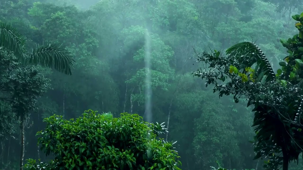 Relaxing rain sounds for sleeping 