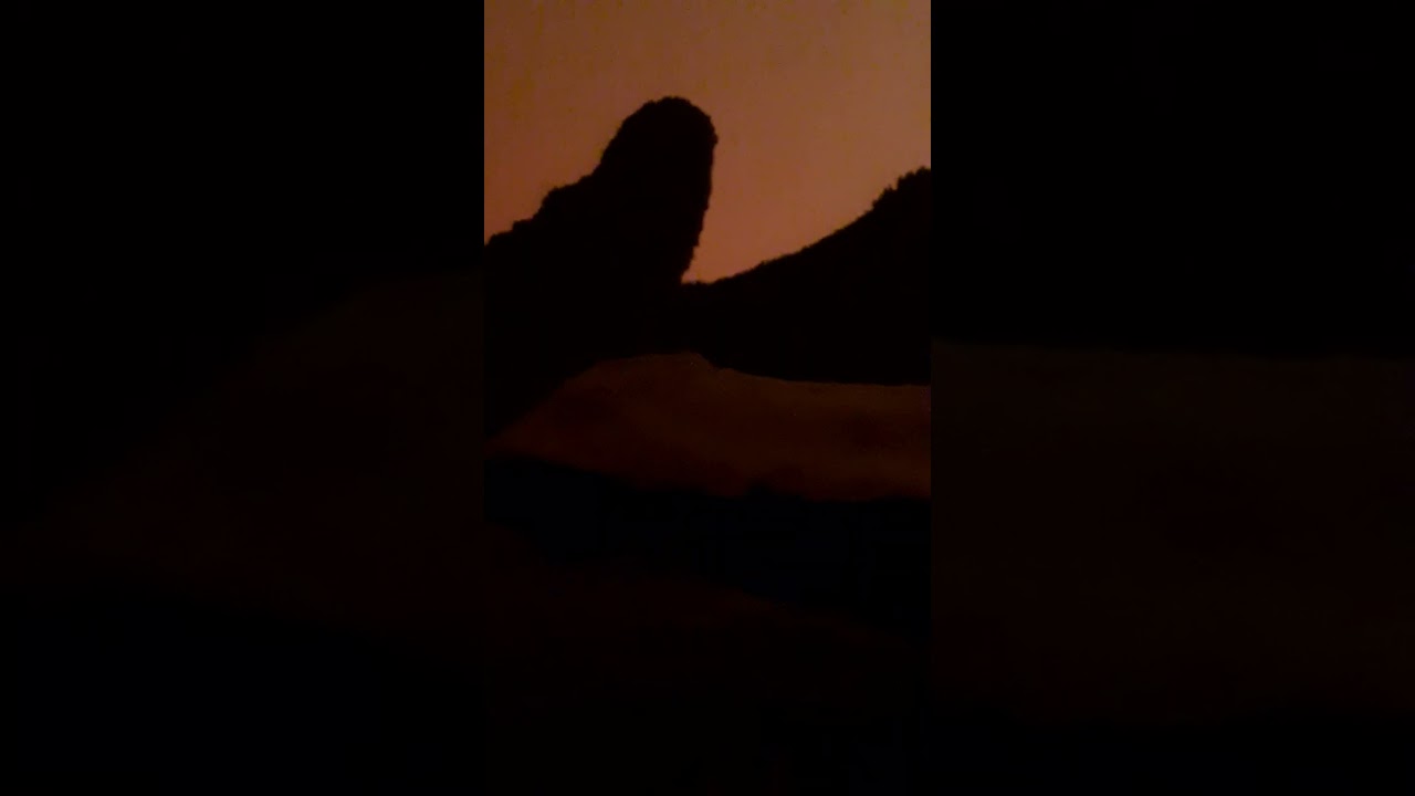Tu sent l'ail et l'oignon 