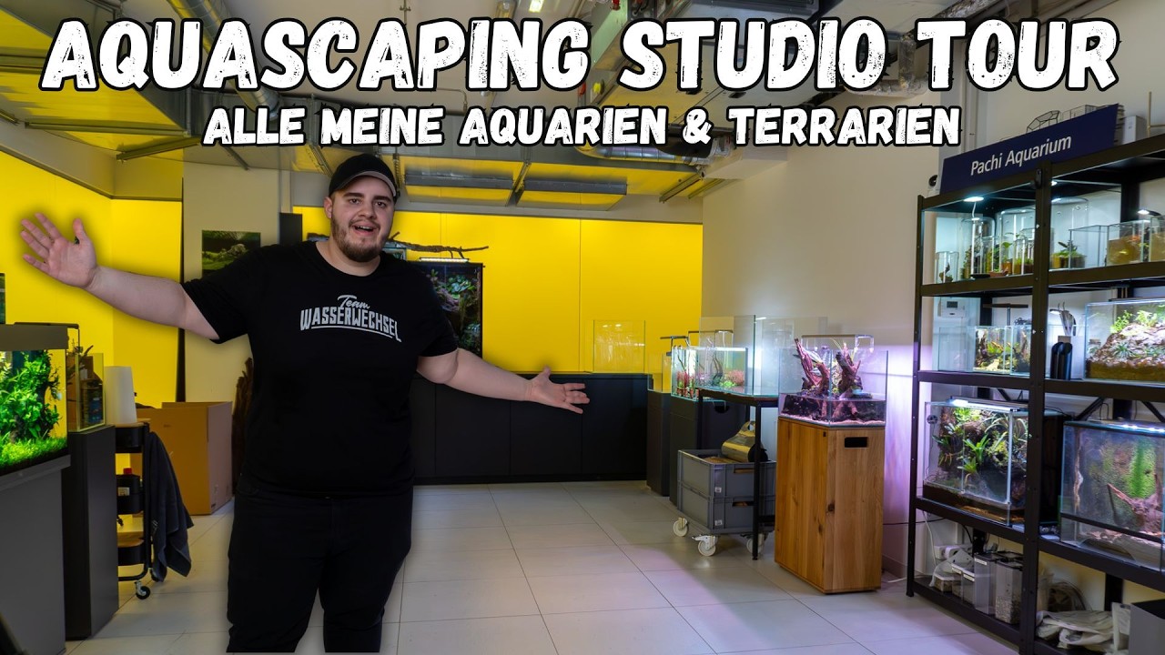 Mein Studio voller Aquarien & Terrarien – Komplette Tour!