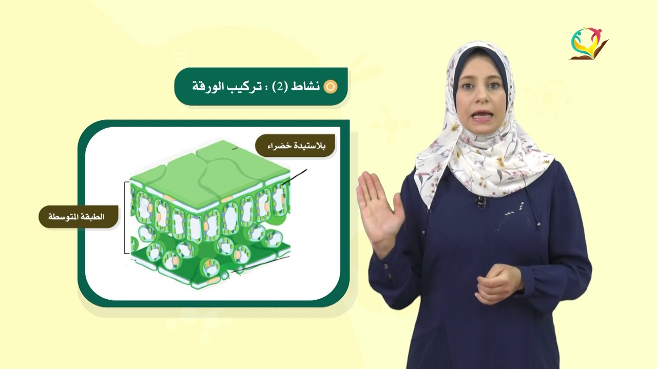 العلوم والحياة 6 - فصل 2 | عملية البناء الضوئي