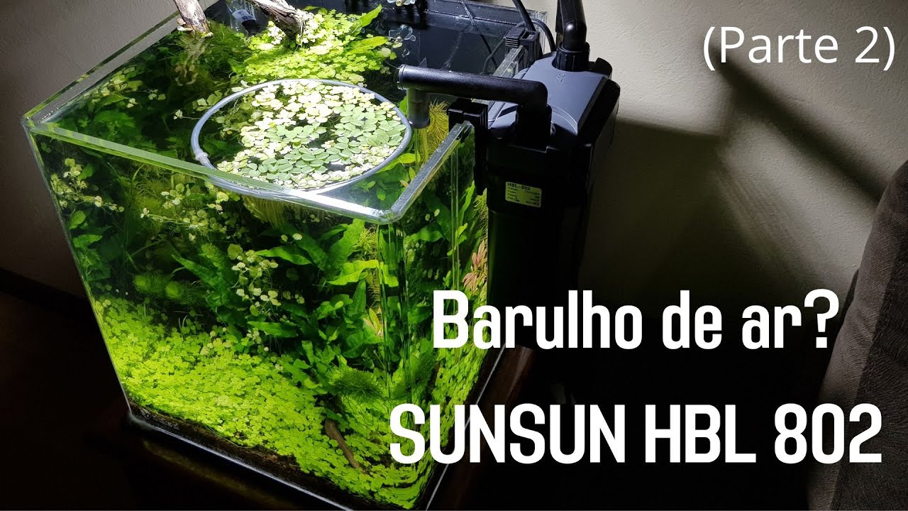 Filtro Sunsun HBL 801, 802 ou 803, como resolver barulho de bolhas de ar dentro do filtro? (parte 2)