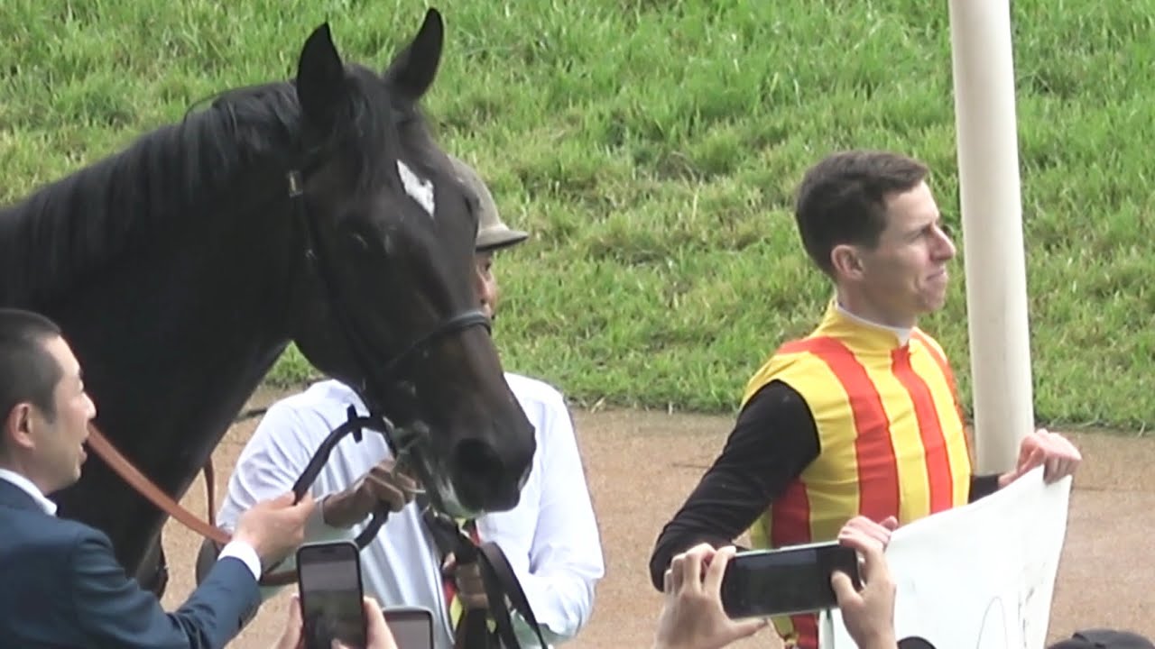 【現地 エフフォーリア産駒が早くも初勝利！ 安田記念day】 新馬戦 ジョドレルバンク D.レーン騎手 【東京競馬場 メイクデビュー】
