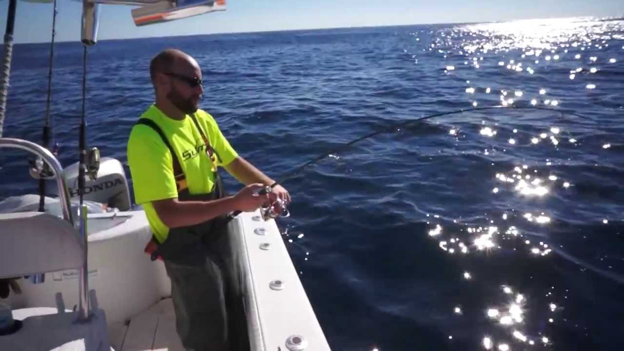 Synit Mantis Micro LIght VS African Pompano