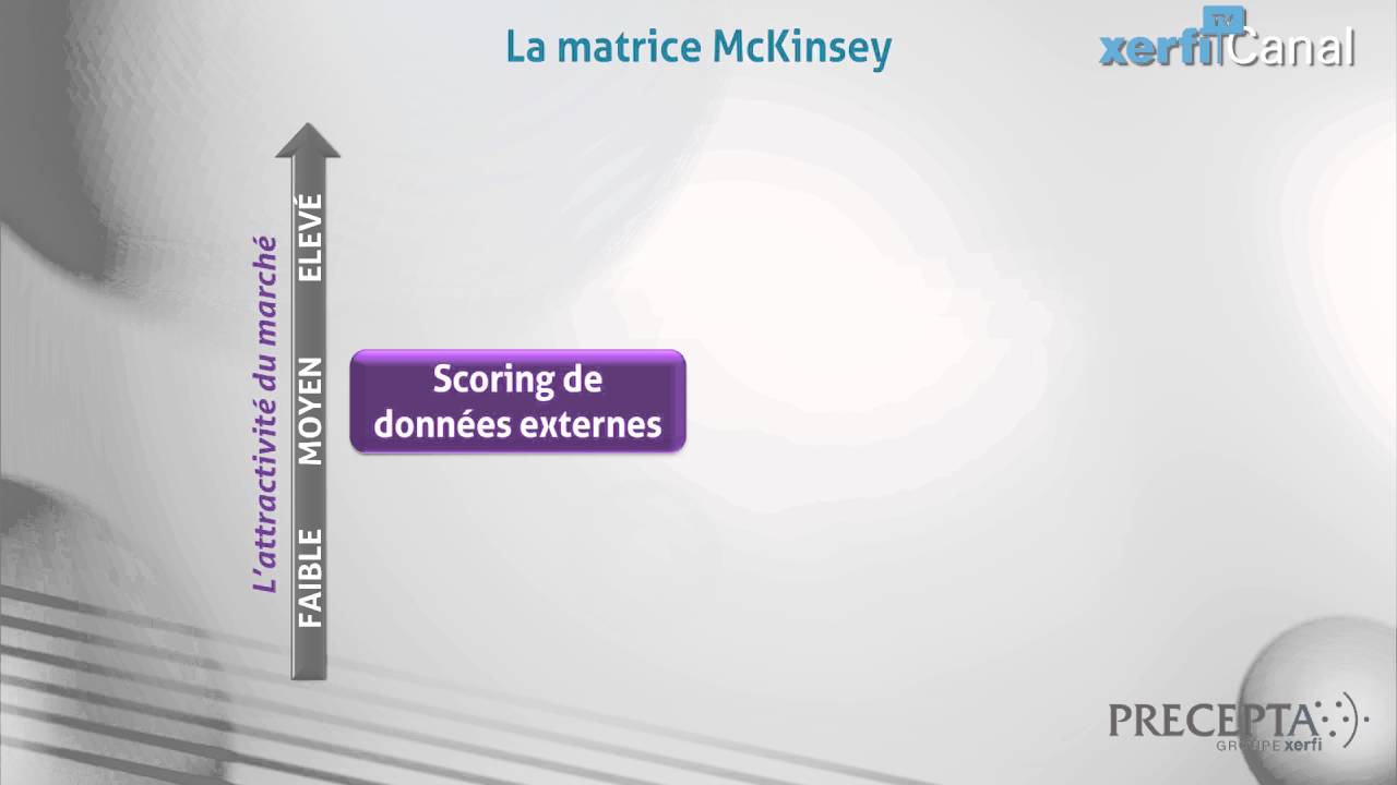 Philippe Gattet, Xerfi Canal Comprendre la matrice McKinsey