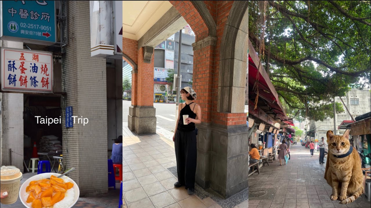 台湾旅行vlog おぱんちゃん🐈、台北カフェ、台湾グルメ食べ歩き