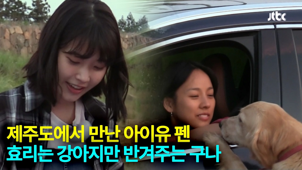 길 잃은 강아지 주인 찾아줬더니 아이유 왕팬이었다!
