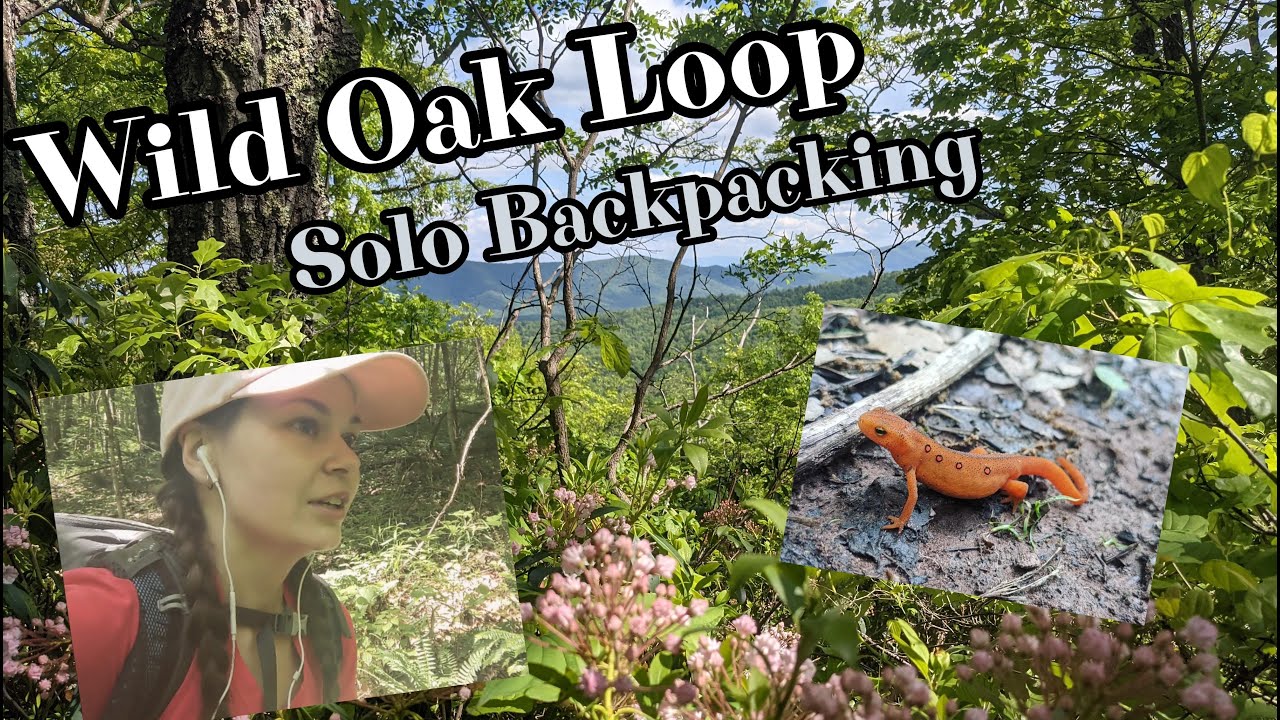 Wild Oak Loop, Virginia - Solo Backpacking
