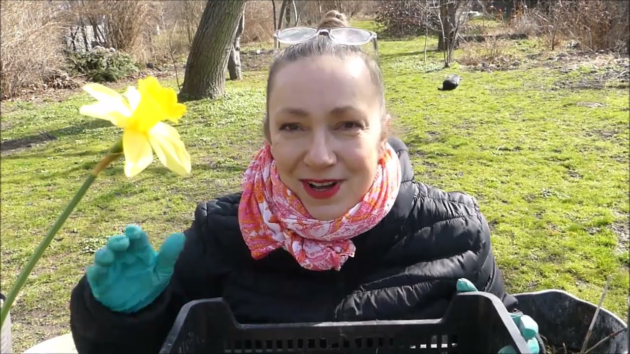 Tuberoza - sadzenie cebulek, podsumowanie minionego sezonu