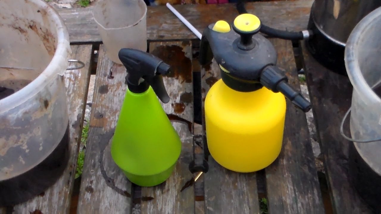 Wurmtee Blattspray selber machen Rezept