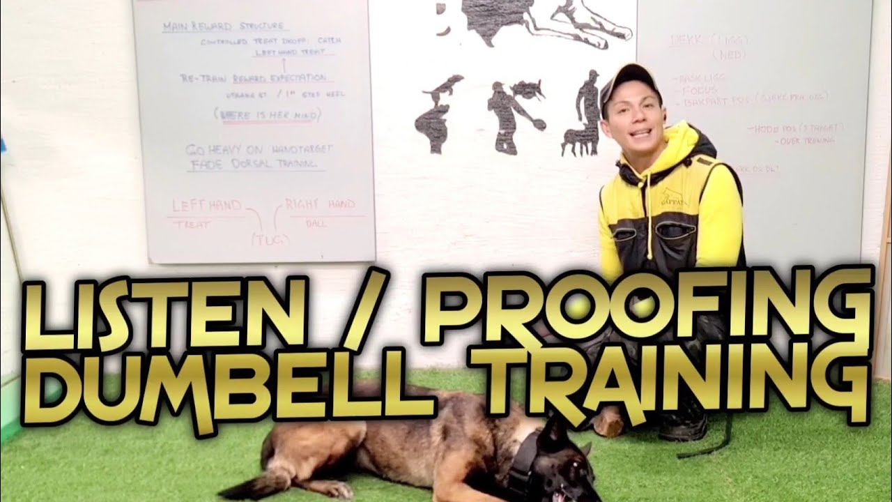 PROOFING OUR RETREIVE SEGMENTS. #malinois