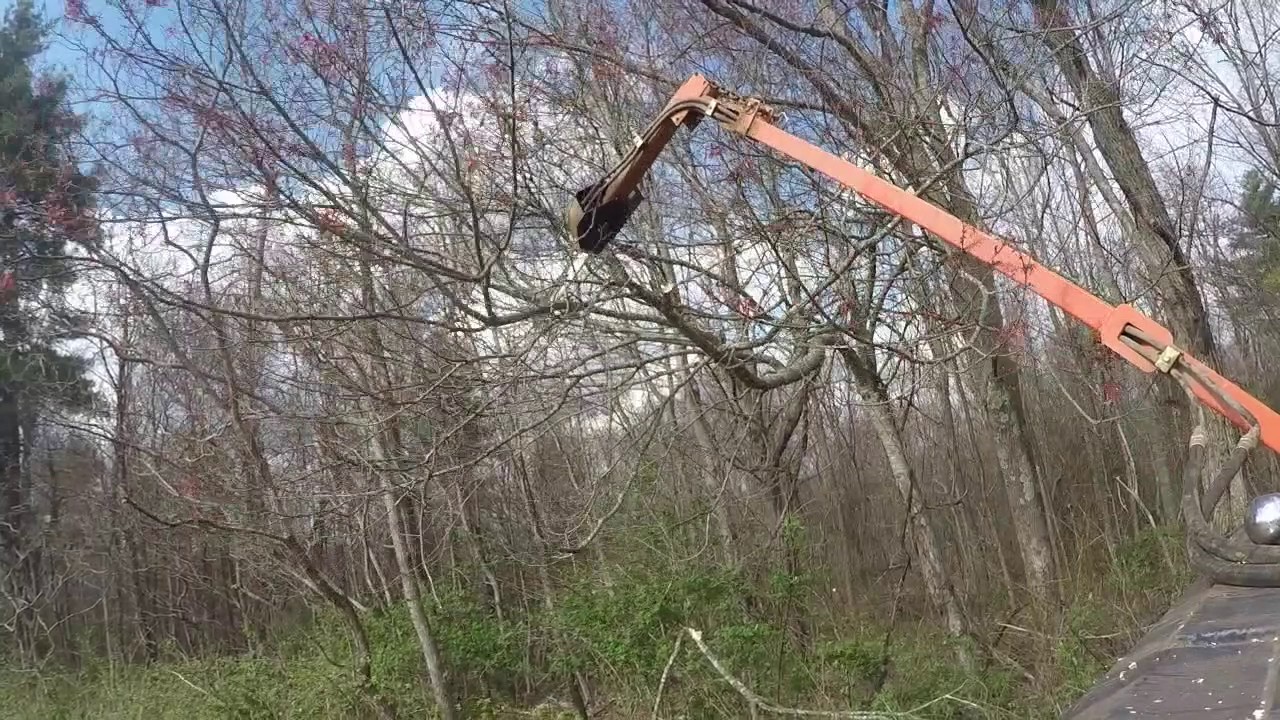 Limbinator Saw! FM. Pt.2