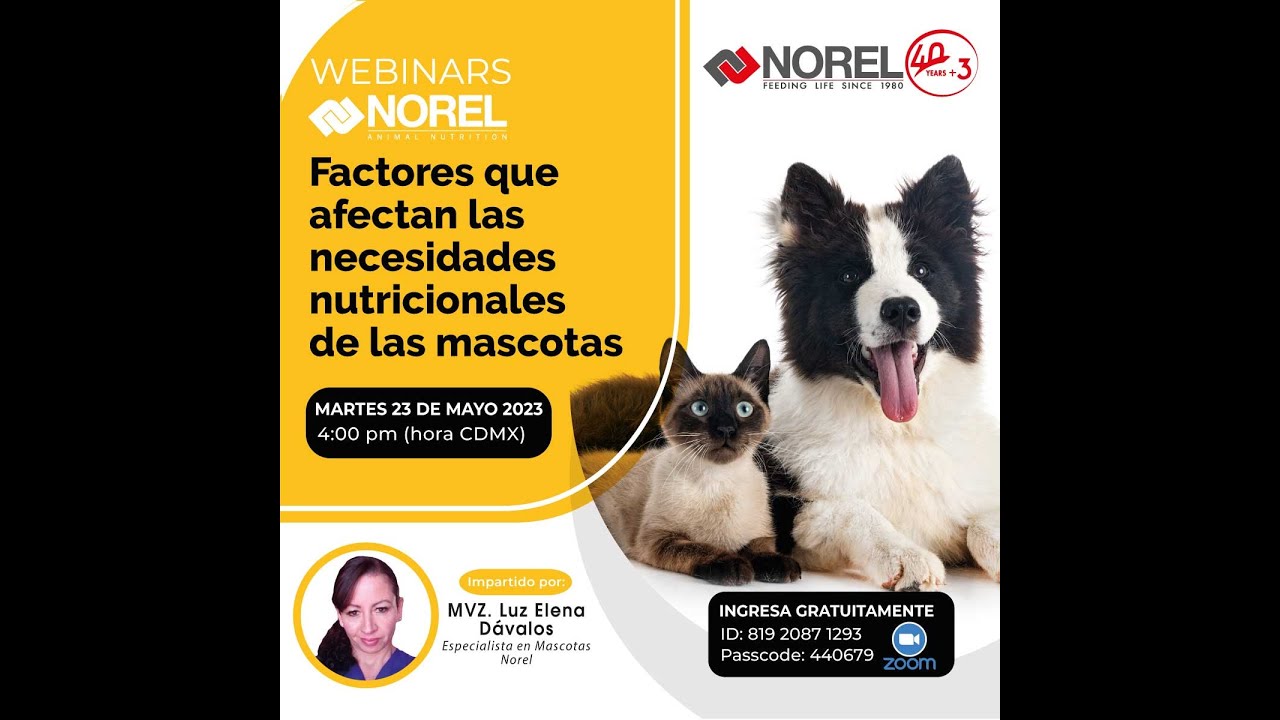 WEBINAR NOREL: FACTORES QUE AFECTAN LAS NECESIDADES NUTRICIONALES DE LAS MASCOTAS