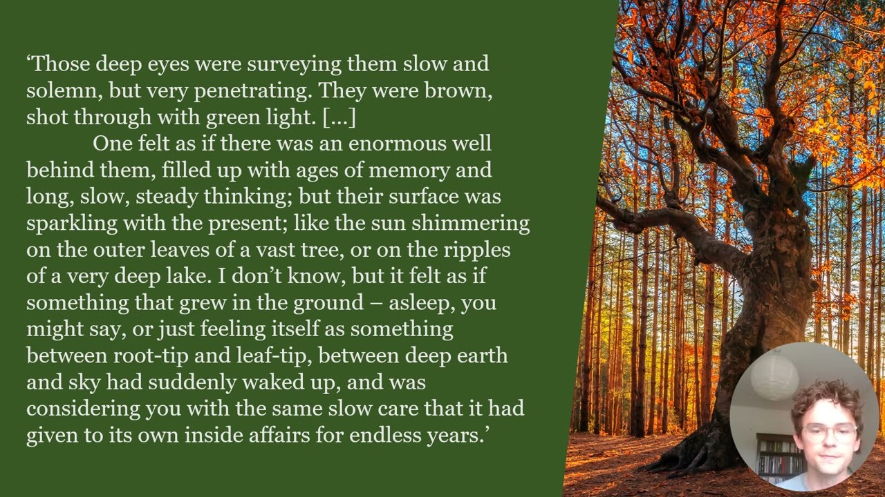 Fantasy Forests in a Time of Ecological Crises